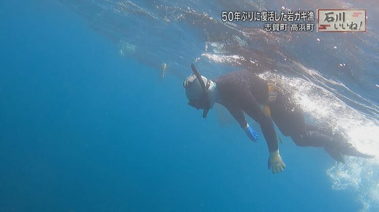 海面から岩礁にいる岩ガキを確認