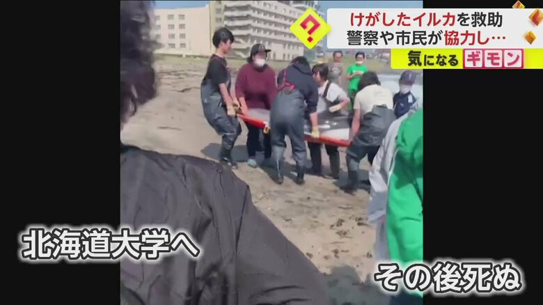 (FNN投稿サイト「ビデオPost」)