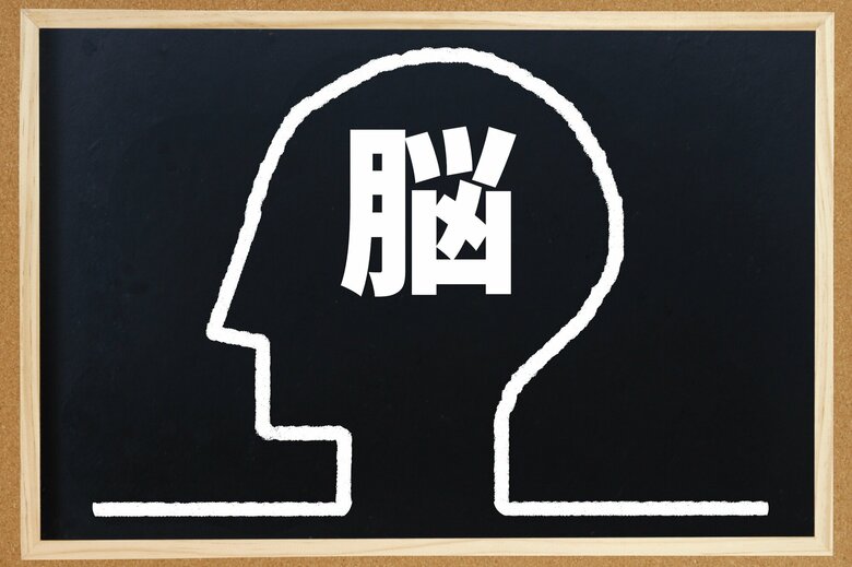 血流の良さは脳にとって死活問題（画像：イメージ）