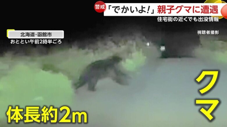 道に飛び出してきたクマ（視聴者撮影）