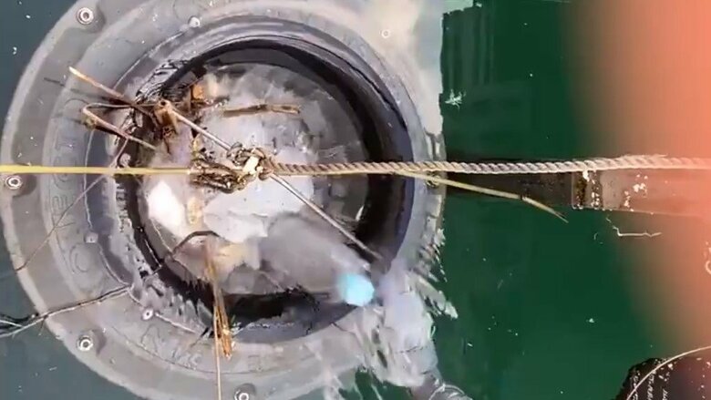 ペットボトルを回収するまで（4）