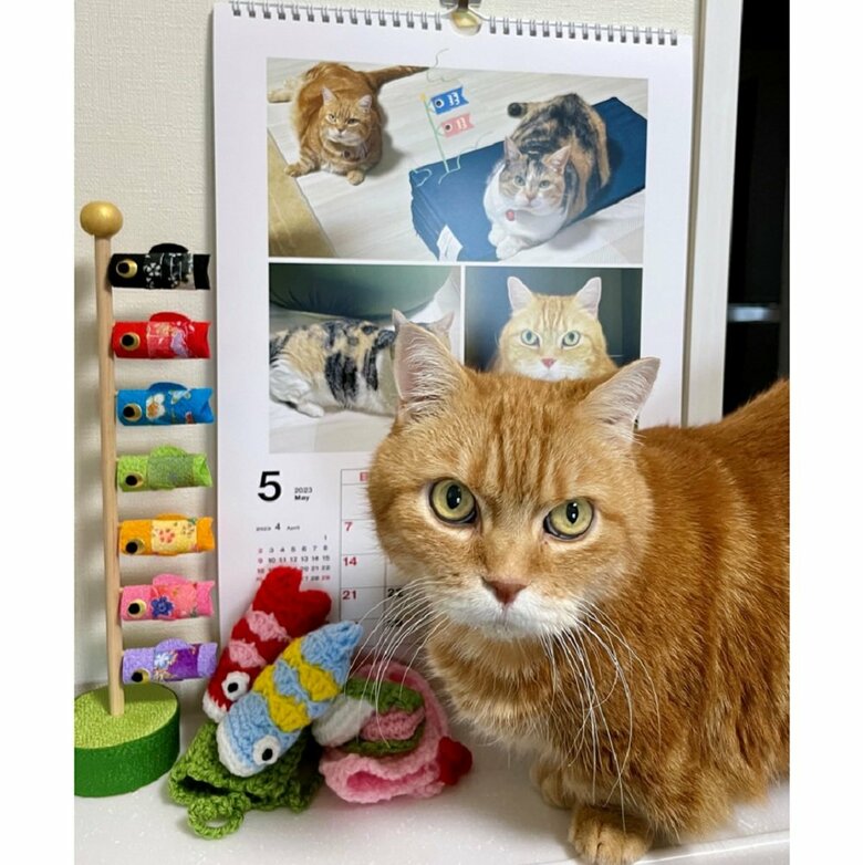 5月カレンダーはももくんの無限ループのような構図を狙っていく予定