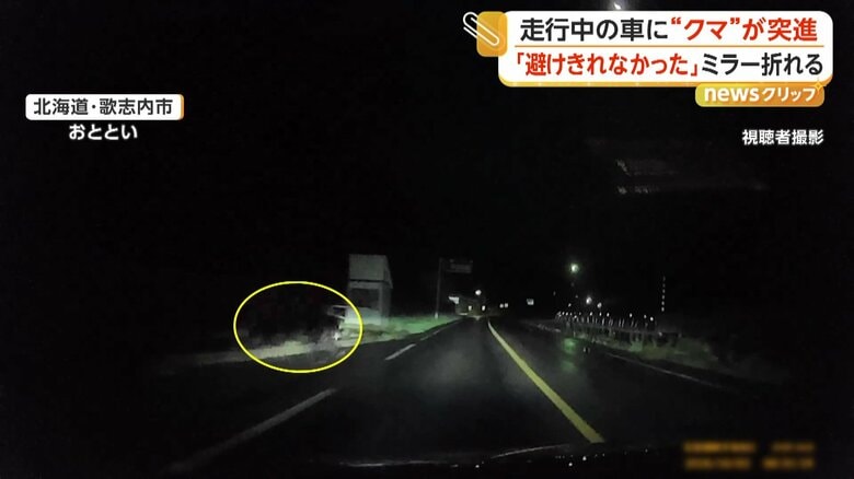 “クマ”が道路に飛び出す瞬間