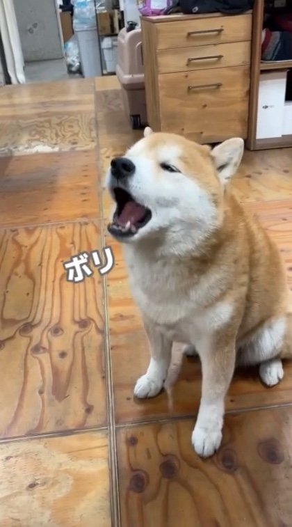 提供：エイトデザイン