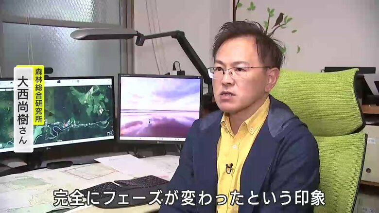 森林総合研究所の大西尚樹さん