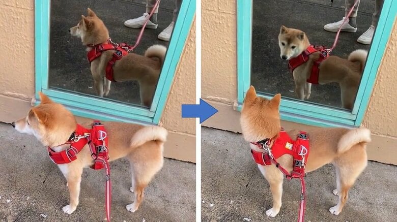 1度鏡をチラッと見て…