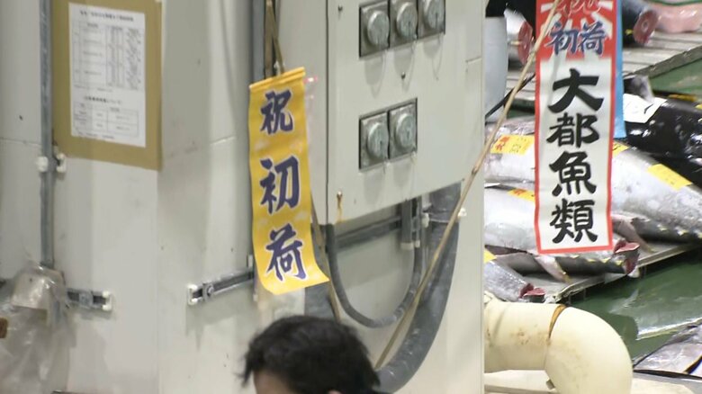 初競り前の場内の様子（午前5時前 豊洲市場）