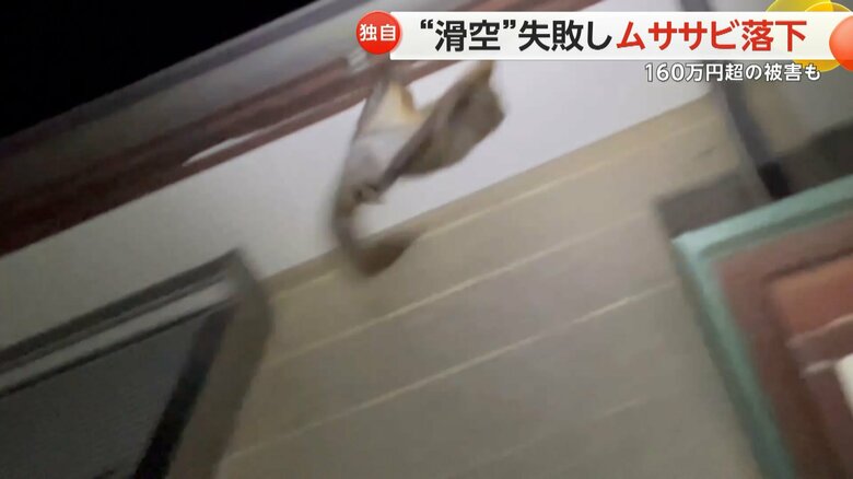 ムササビが、ジャンプしようとして軒裏に頭をぶつけ、そのまま落下する様子④