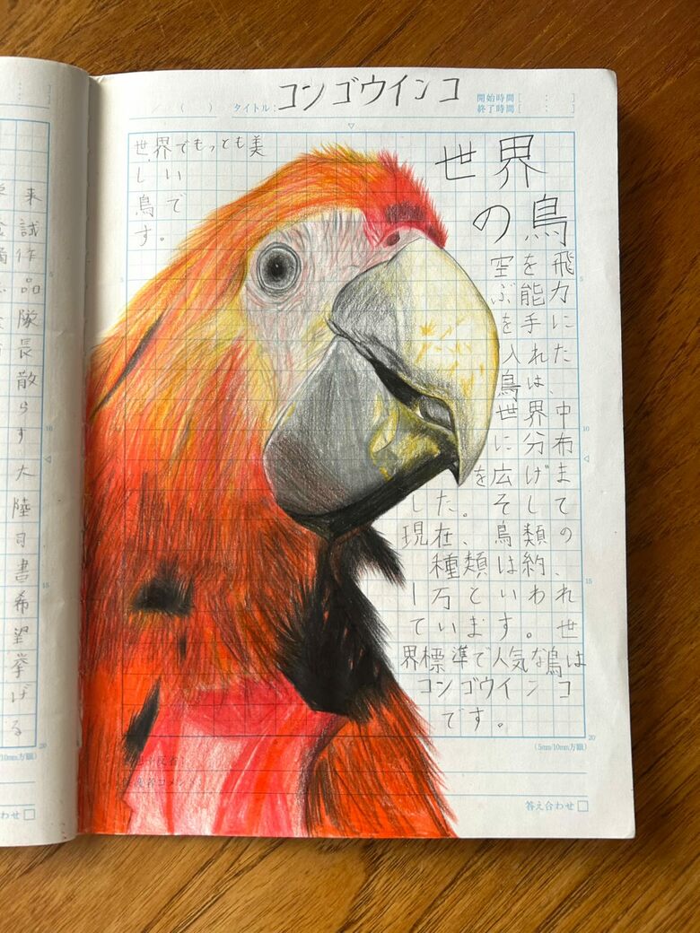 コンゴウインコ（前回の取材時以降の作品）