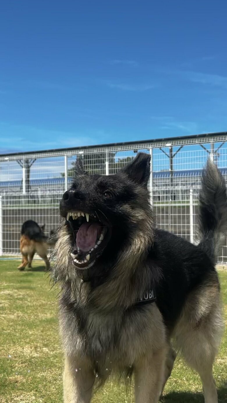 外遊びのワンシーン