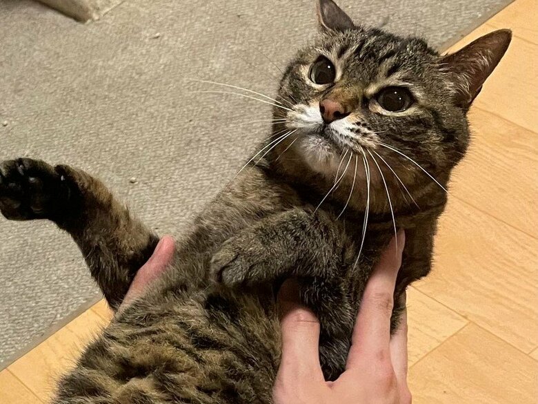 くっつきたくないんだもん…