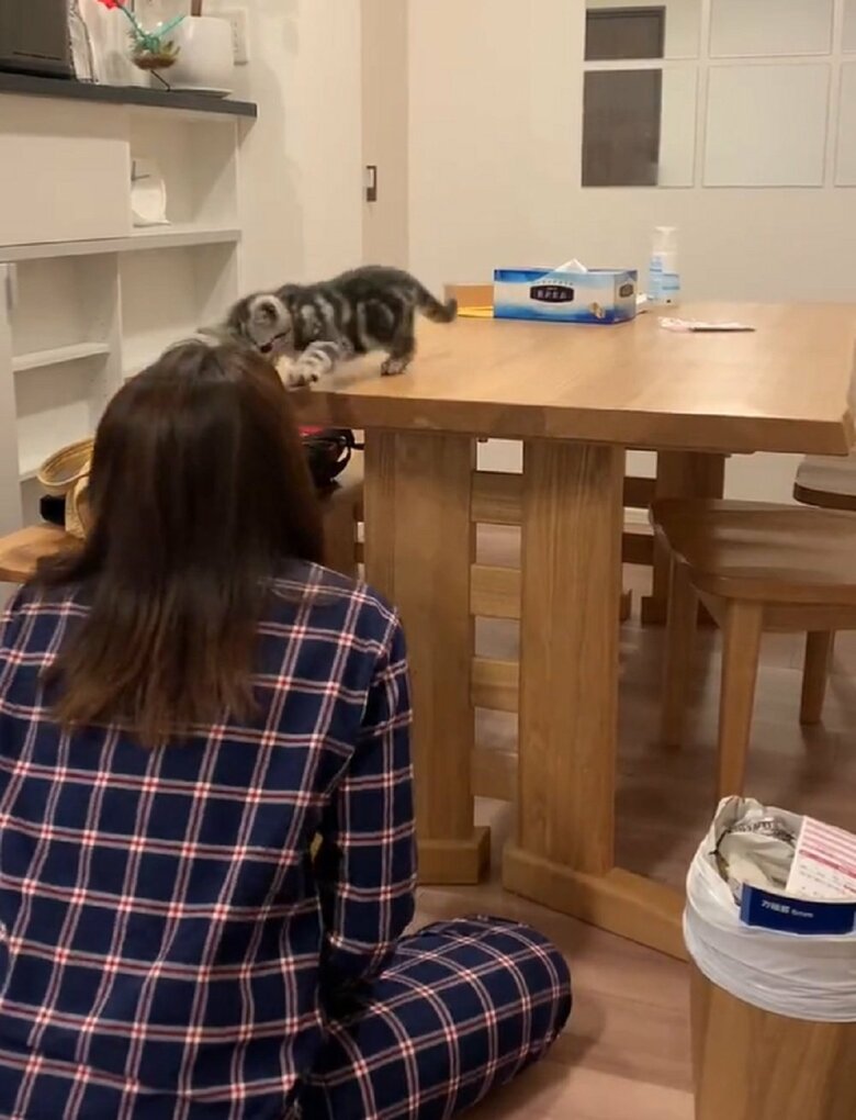 前脚を伸ばすあんこくん