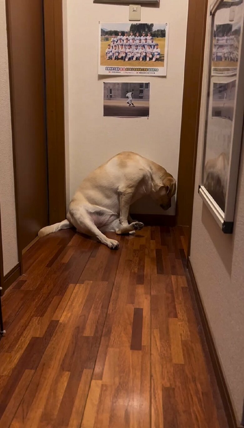 パパさんを起こしにきた薫風ちゃん