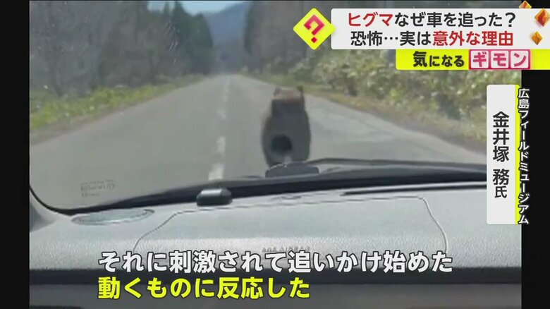 （視聴者撮影）