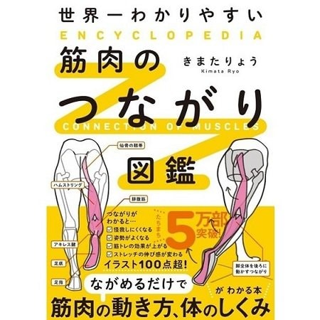 『世界一わかりやすい 筋肉のつながり図鑑』（KADOKAWA）