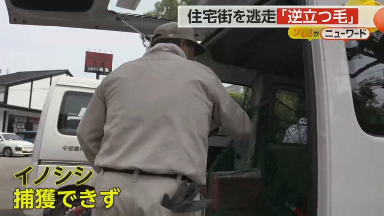 イノシシが捕獲できず、網を車にしまう宮崎市の職員