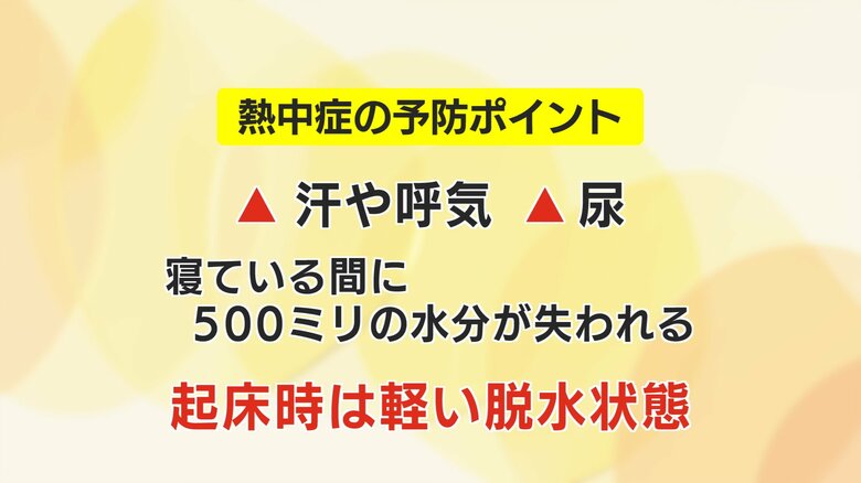 朝起きたら軽い脱水状態となっている