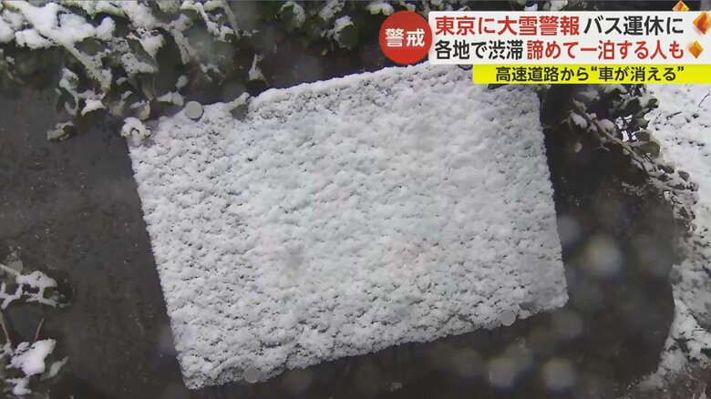 「よこはま動物園ズーラシア」の看板は雪で覆われ、文字が見えない状態