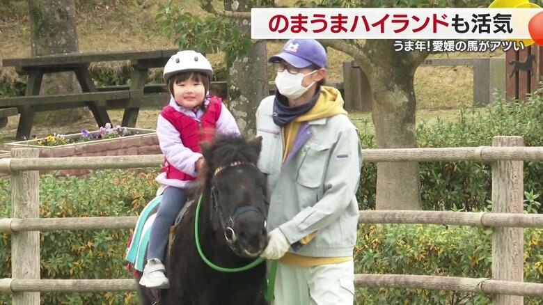 家族連れがのまうまにあやかる
