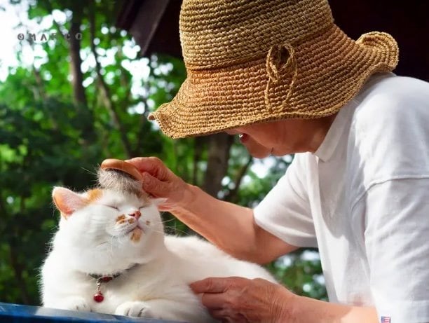 お母さんにブラッシングされて…（提供：MARCOさん）