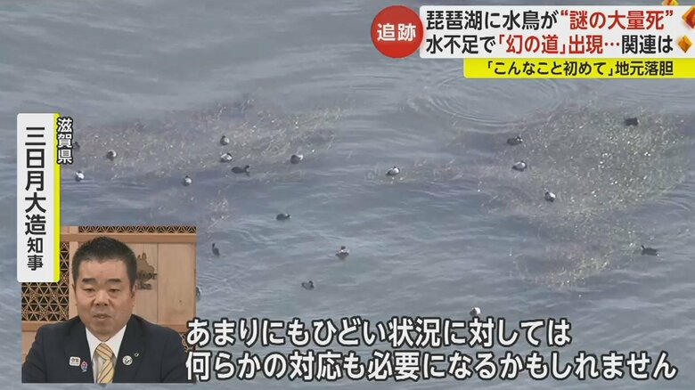 県は監視を続け、感染症対策として野鳥への餌やりなどは控えるよう呼びかけ