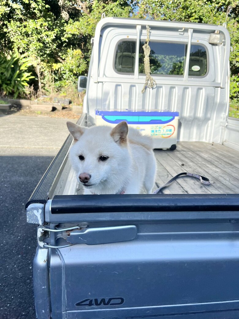 トラックの荷台で