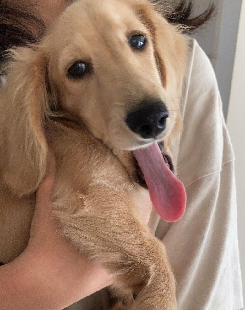 提供：___0516.wanさん