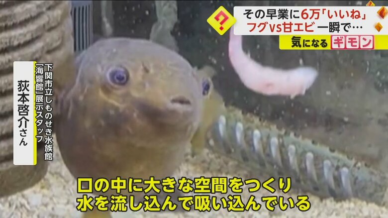 （ぶるーへゔんさん）