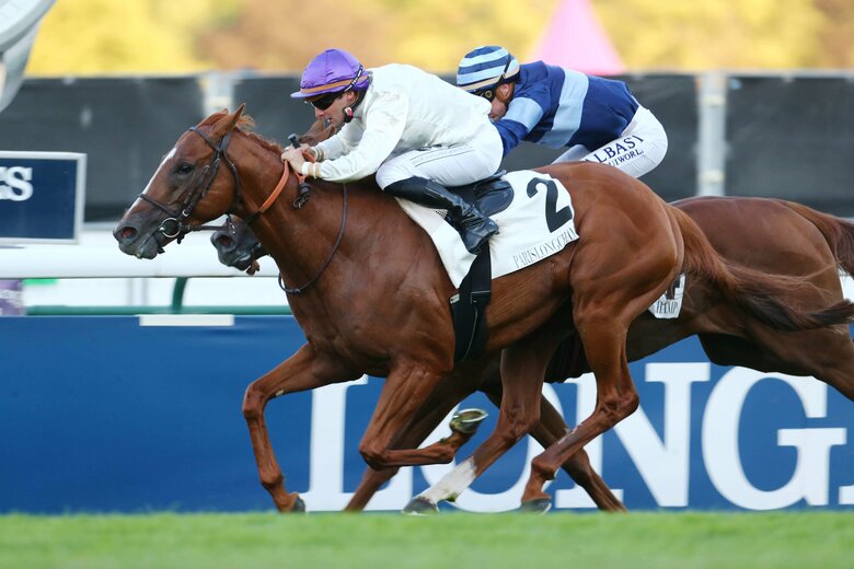 オネスト©Scoopdyga