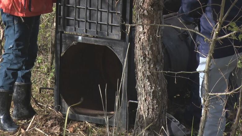 猟友会が設置した「箱わな」