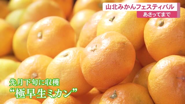 旬到来!香南市特産の「山北みかん」味わうイベント【高知】