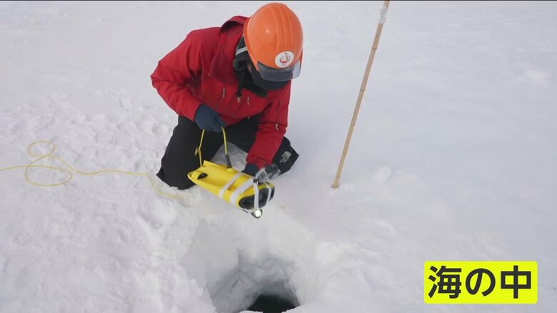 テレビとしては初めて昭和基地沖の海を水中ドローンで撮影