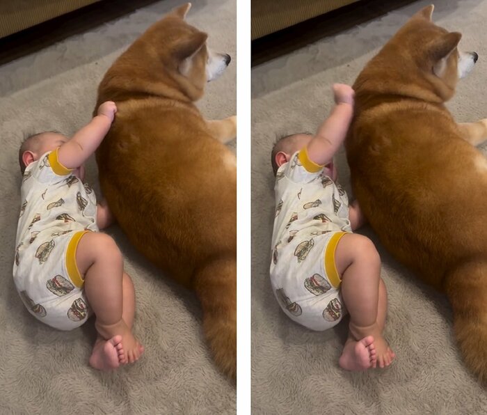 べりやんくんをワシャワシャ！