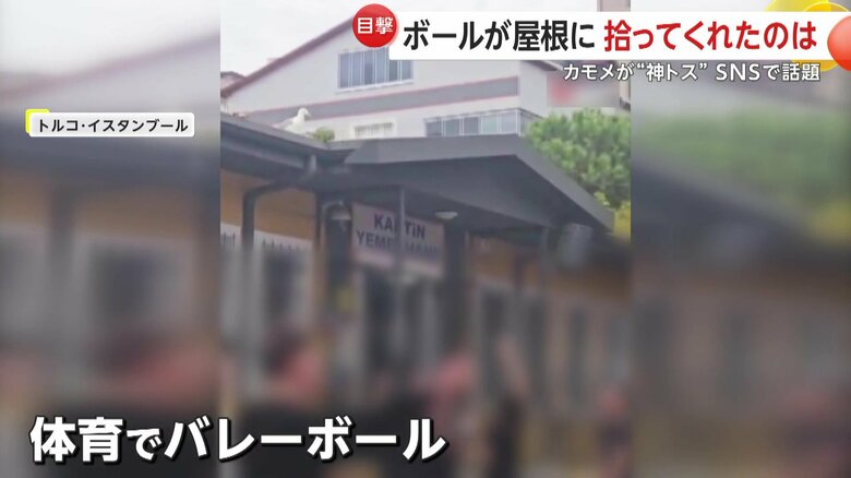 体育の授業でバレーボールをしていた中学校の生徒たち