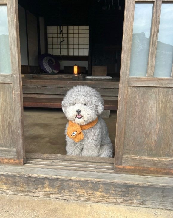 提供：レノン&れあるさん