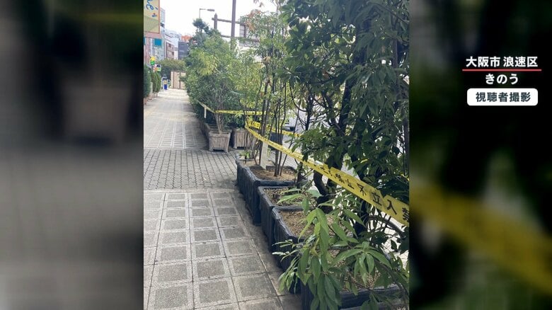 歩道に置かれたプランター