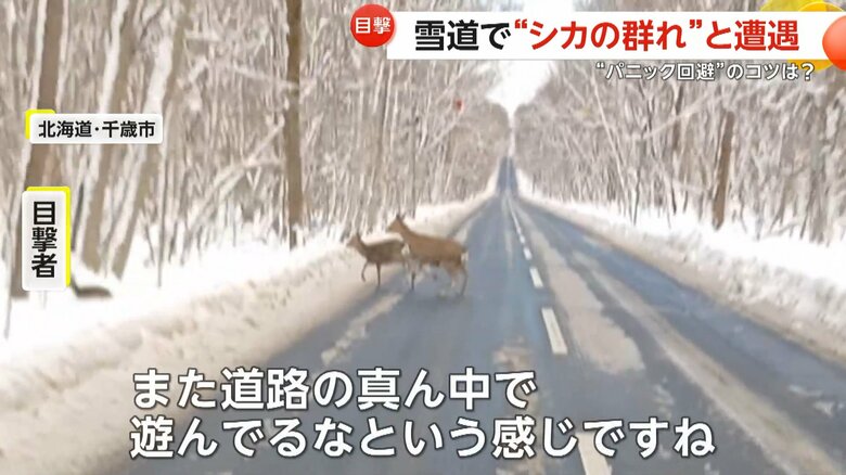 「また道路の真ん中で遊んでるなという感じ」と話す目撃者（視聴者撮影）