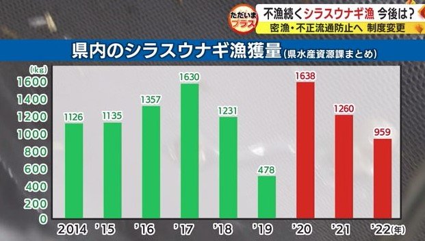 静岡県内のシラスウナギ漁獲量推移