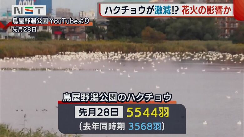 10月28日には5544羽が飛来