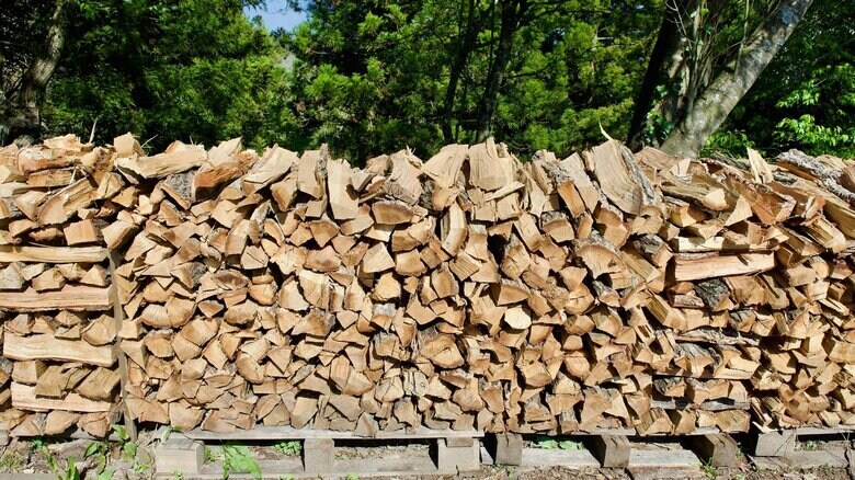 林業などに活用できることもある（画像はイメージ）