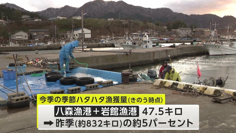 八峰町・八森漁港（2025年12月）