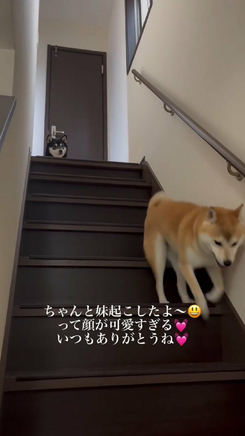 この後、小豆ちゃんもしっかり降りてきたという