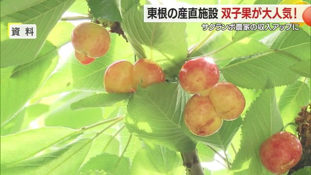 実がくっついた状態の「双子果」
