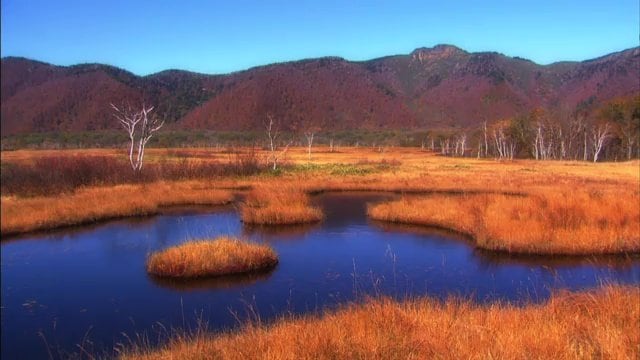 秋は紅葉　美しい景観が訪れる人を魅了する