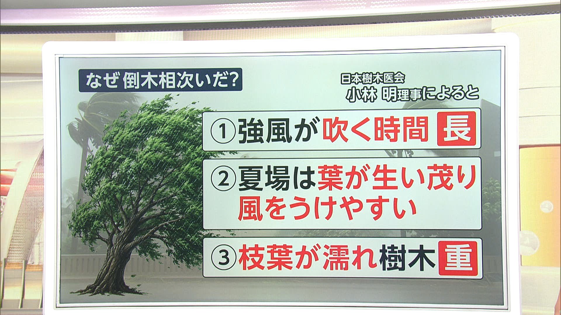 【解説】“逆走”台風15号　特に栃木県で多かった倒木の原因は？地形や風向きが影響か　台風17号も気になる予想進路