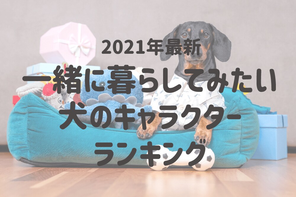 一緒に暮らしてみたい犬のキャラクターランキング 第一位はアメリカ生まれの人気者 スヌーピー