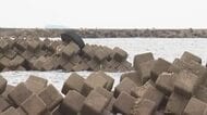 「男性がおぼれている」浜に引き上げ心臓マッサージも…坂井市三国の56歳男性が死亡　石川県加賀市の塩屋海岸でカイトボード中におぼれたか