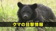 【クマ目撃情報】盛岡市三ツ割鉢ノ皮付近　岩手県「ツキノワグマの出没に関する注意報」発表中
