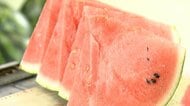 おいしいスイカの見分け方　たたくと「ポンポン」弾む音　緑色が膨らみ、黒い線がへこむ　つる部分が凹凸