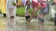 天草市の小学生が田植え体験【熊本】